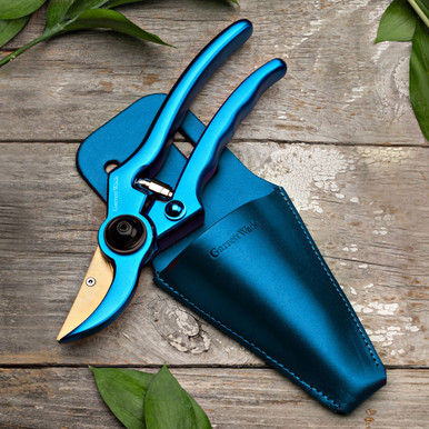 Blue pruning shears with gold blade and matching sheath, laid on rustic wood