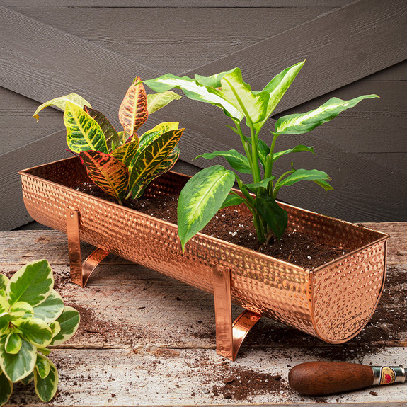 Hammered copper planter with leafy plants on a rustic wood surface