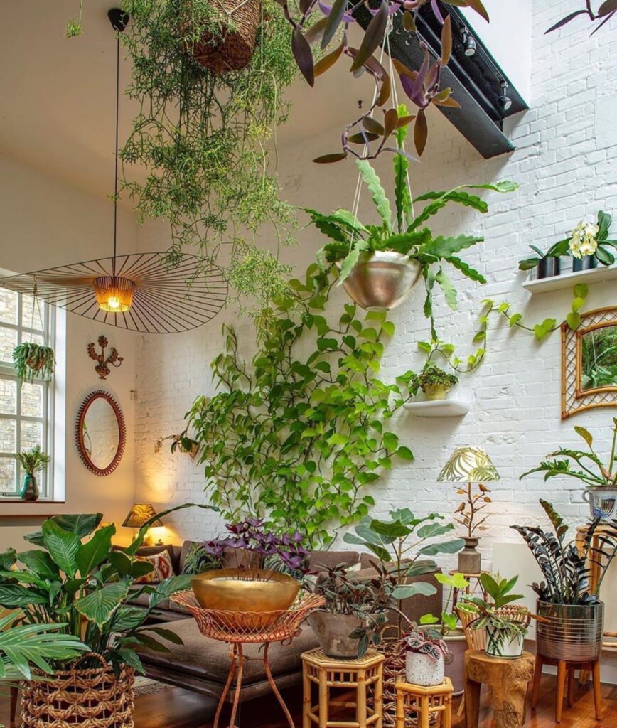 Boho living room filled with a variety of indoor plants, including hanging and climbing greenery, peace lily, pothos, and rattan planters, styled against a white brick wall with natural light.