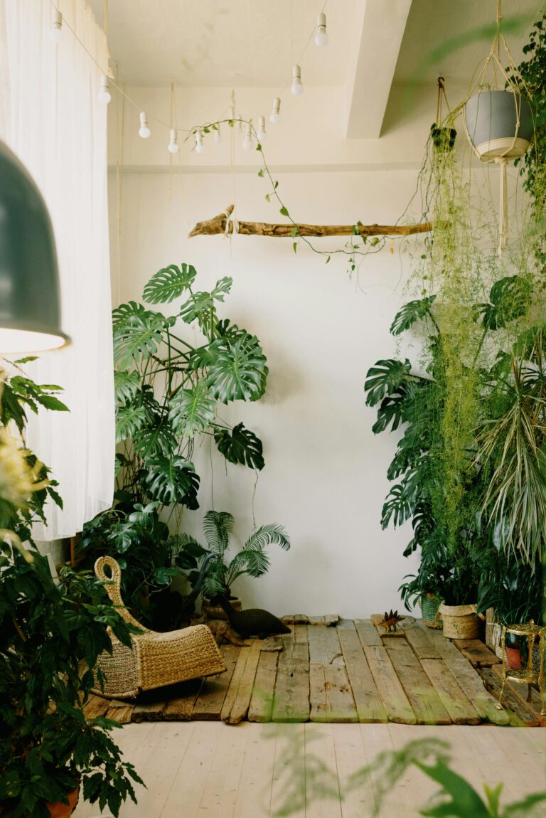 Minimalist boho room decorated with a variety of indoor plants including Monstera, palms, and hanging vines, styled with natural wood and wicker accents.