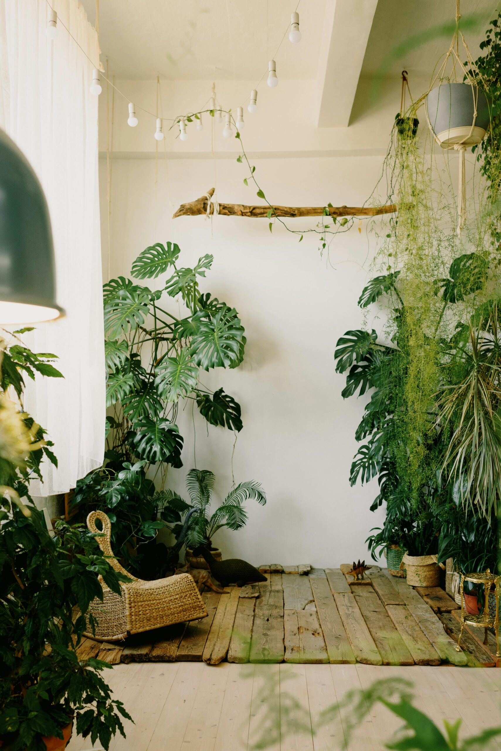 Read more about the article 10 Most Famous Indoor Plants Used in Boho Decor